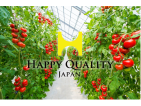 株式会社Happy Quality