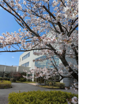 有限会社アルメニ