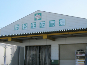 株式会社　浜松生花地方卸売市場