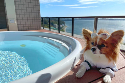 合同会社浜名湖リゾート